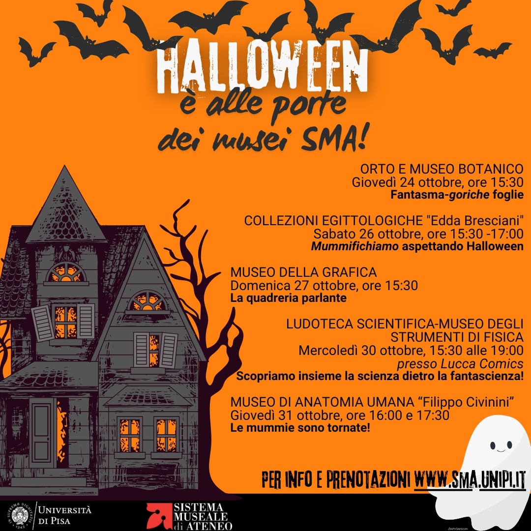 Halloween con i musei del Sistema Museale di Ateneo Comune di Pisa