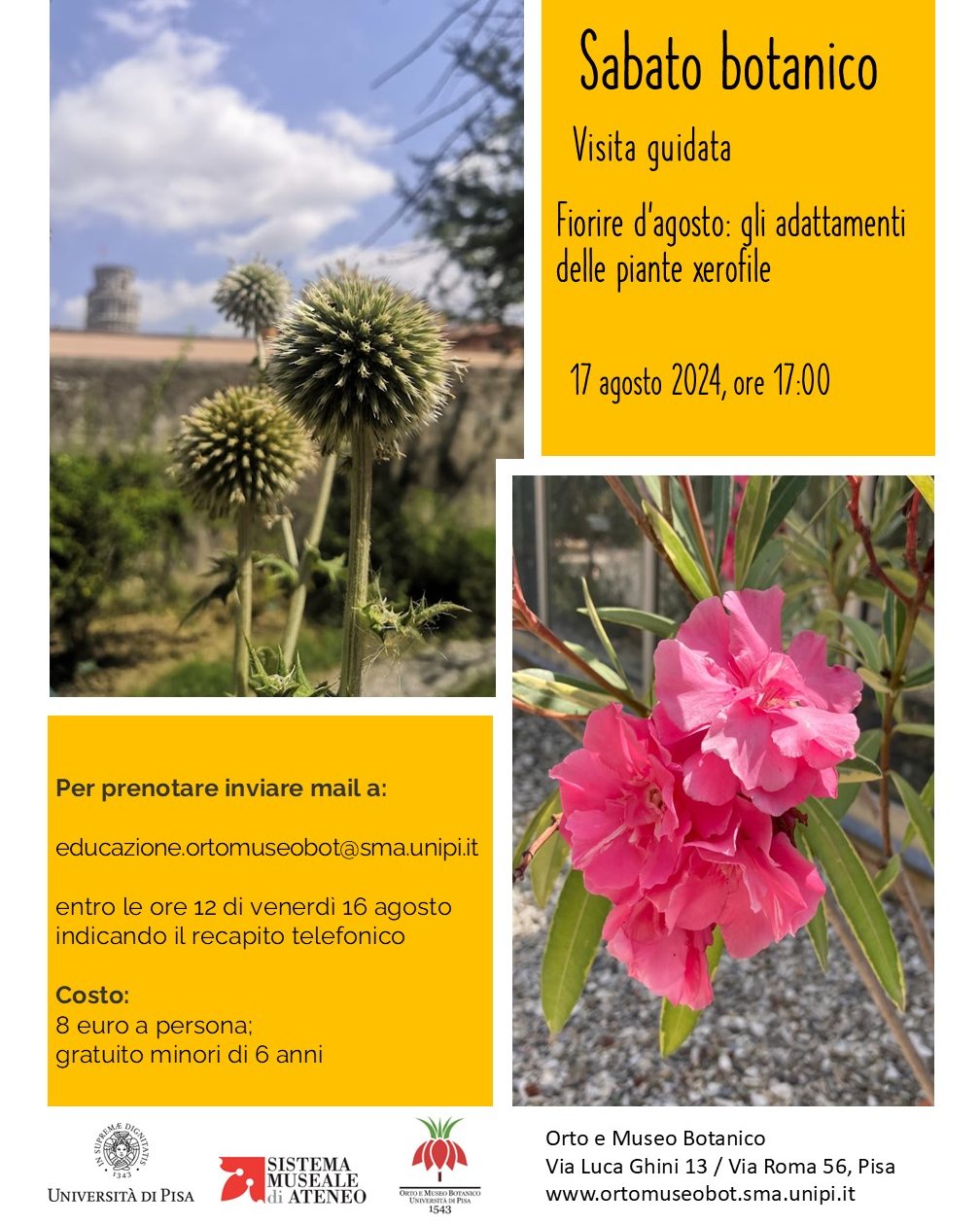 Sabato botanico agosto 2024 | Comune di Pisa - Turismo