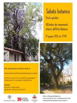 Sabato botanico giugno 2024