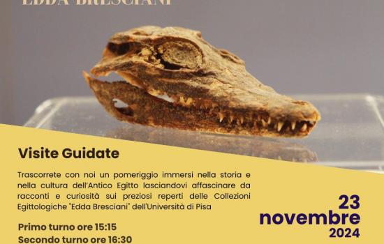 Visite guidate alle Collezioni Egittologiche novembre 2024 