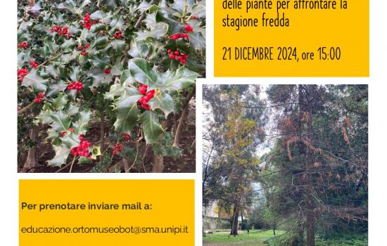 Sabato botanico dicembre 2024 