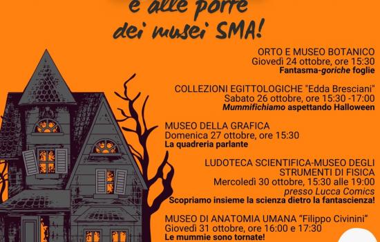 Halloween con i musei del Sistema Museale di Ateneo