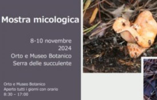 I funghi autunnali della Toscana settentrionale